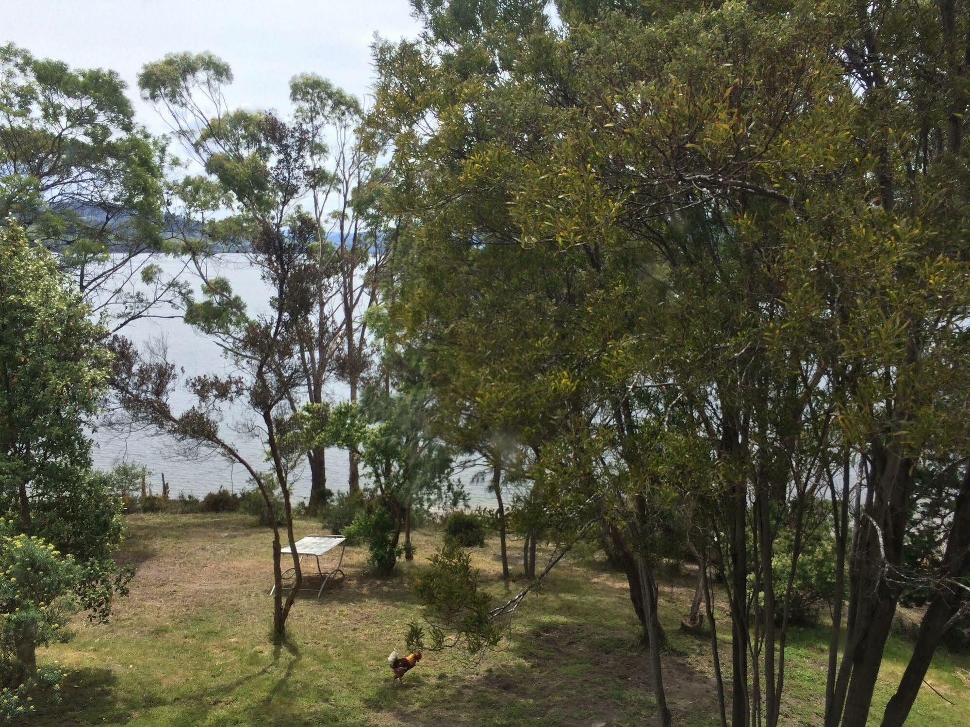 Tranquil Point Guest House Cygnet Exterior foto