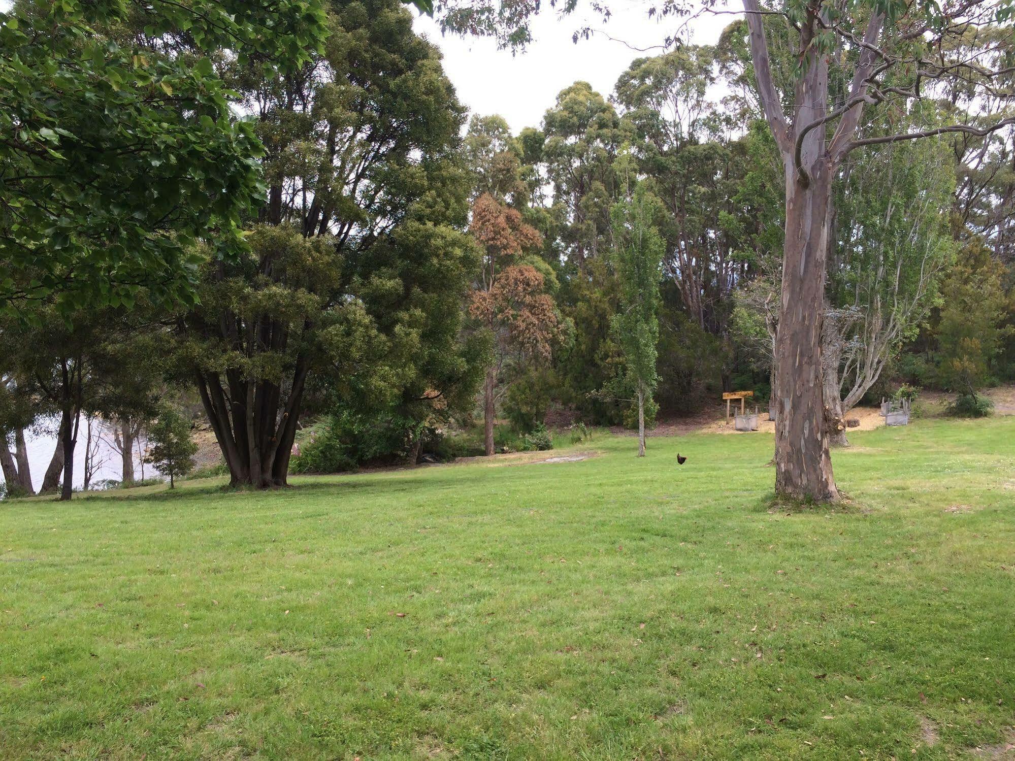 Tranquil Point Guest House Cygnet Exterior foto