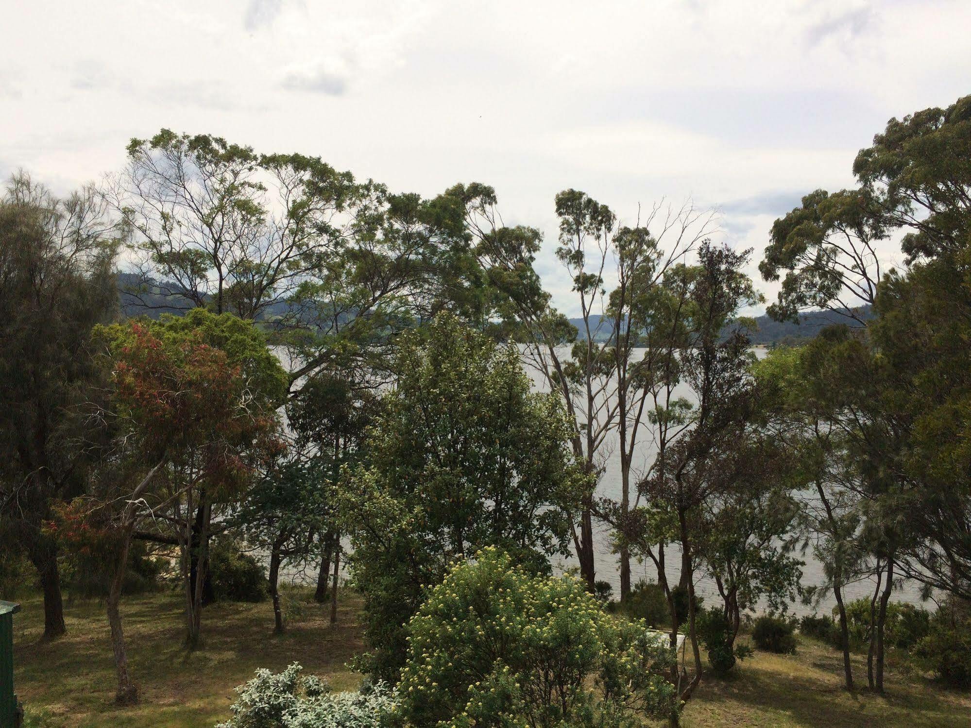 Tranquil Point Guest House Cygnet Exterior foto