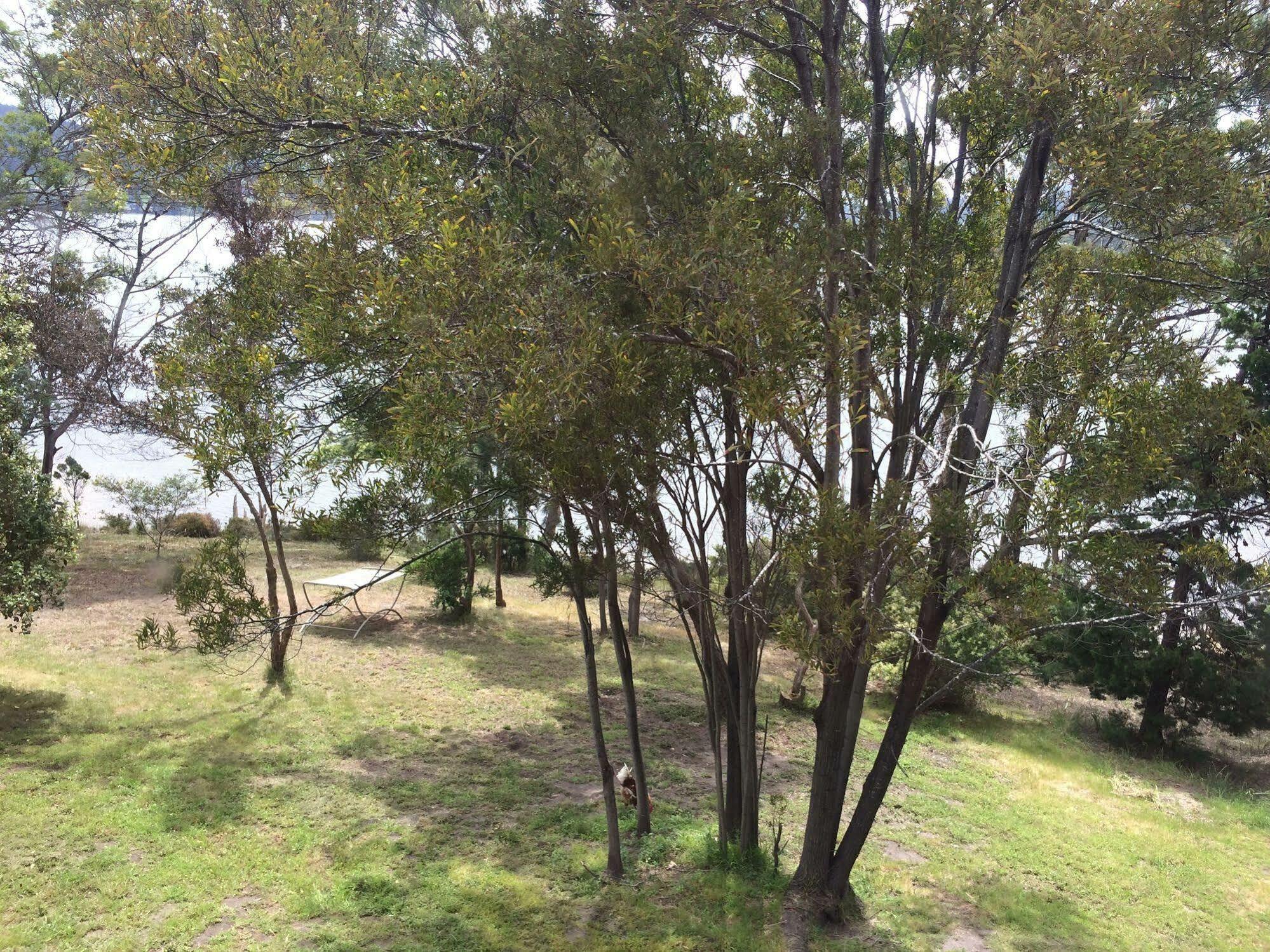 Tranquil Point Guest House Cygnet Exterior foto